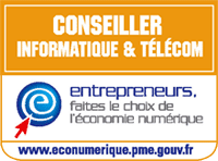 Conseiller IT econumerique